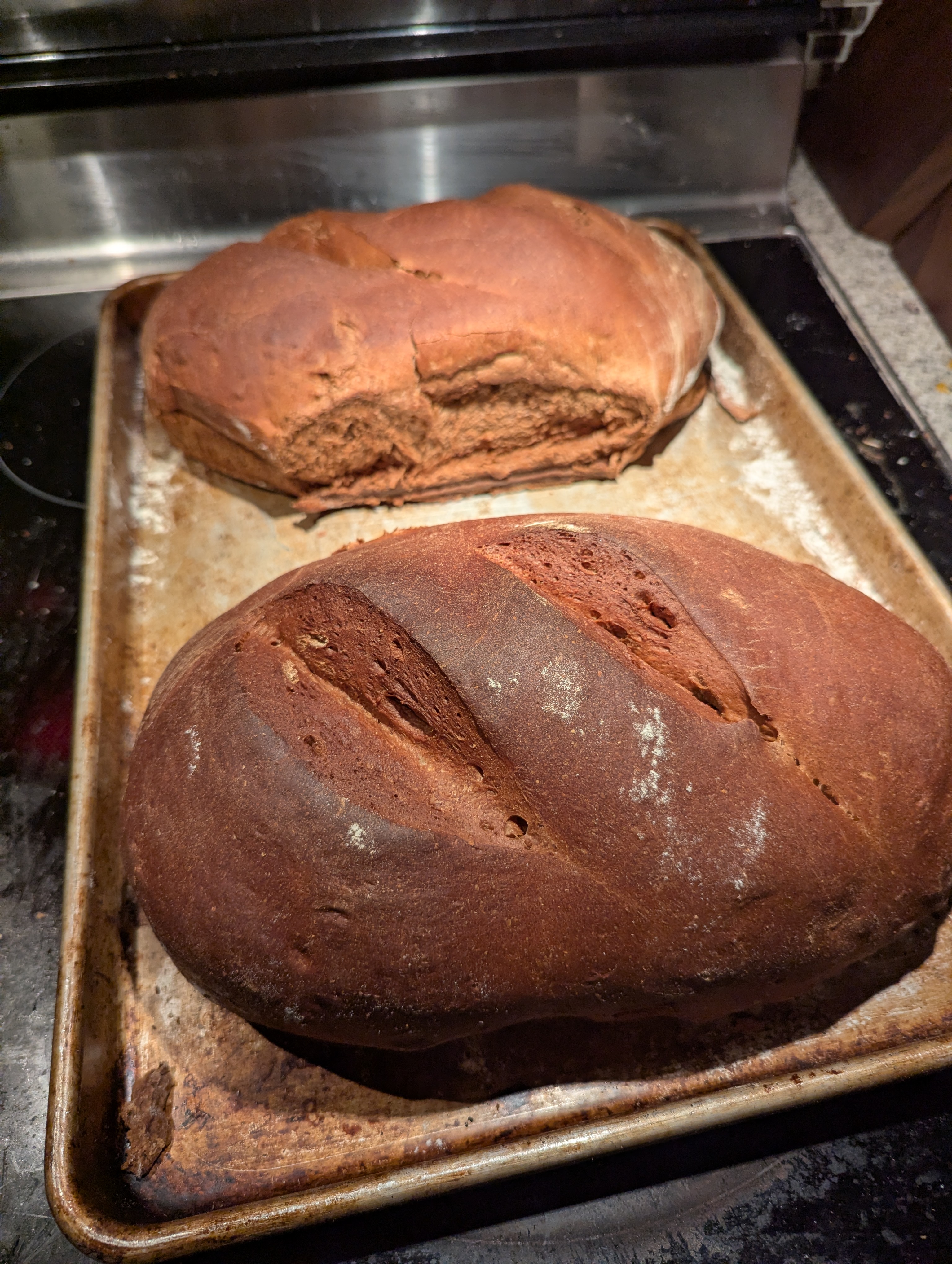 cocoa rye bread